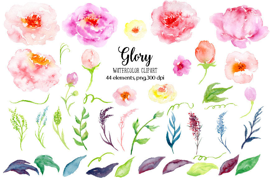watercolor clipart Glory, pink peony, yellow peony, soft flower, watercolor illustration, instant download 