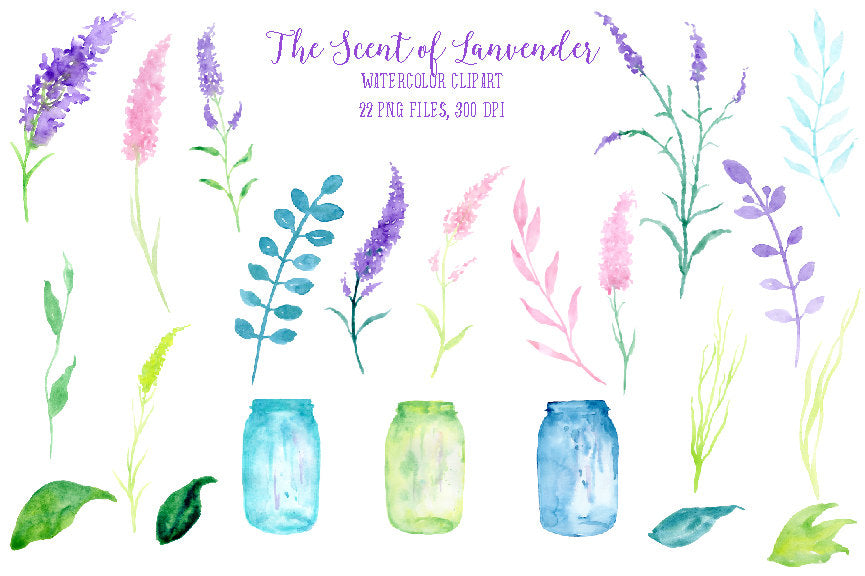 watercolour illustration of lavender, mason jar, blue, green, 