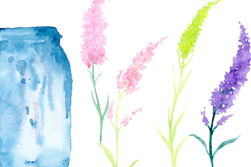watercolour lavender, herb, vase of lavender, vase of flowers 