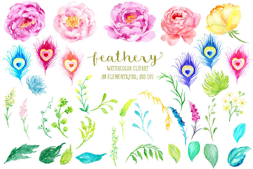 Watercolor collection feathery, pink and purple peony, peacock feather, boho pony, bohemian clipart
