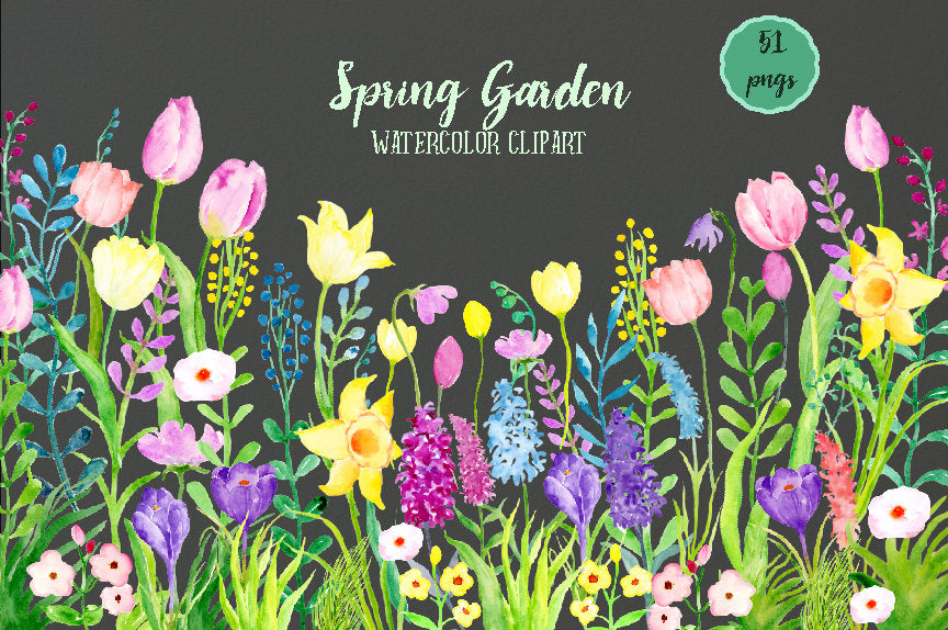 watercolor clipart spring flowers, pink and yellow flowers, tulips, daffodils,