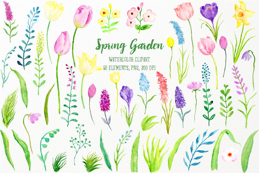 watercolor clipart spring garden,  tulips, daffodils, purple flowers