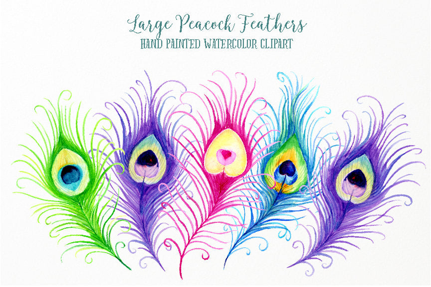 watercolor peacock feather clipart, peacock illustration, wedding illustration, boho feathers