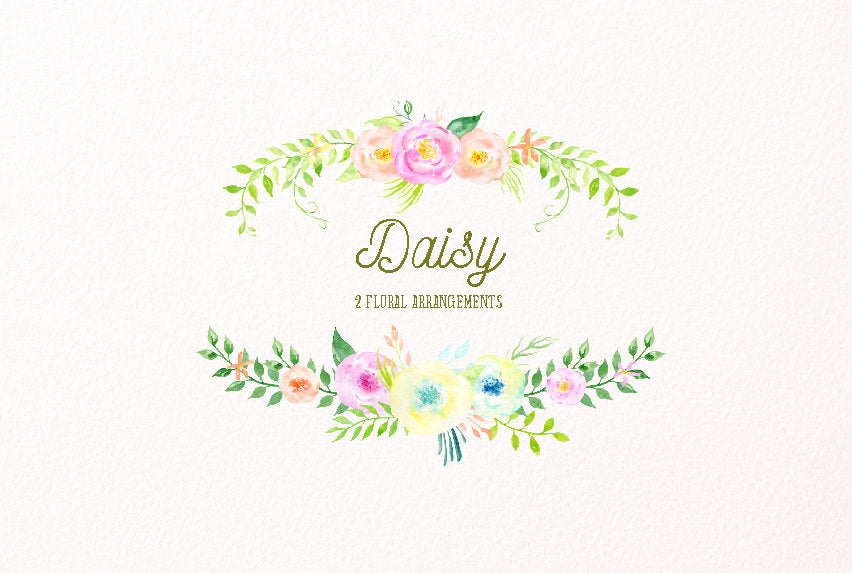 watercolor clipart daisy, watercolour flowers, logo design elements, floral compositions 