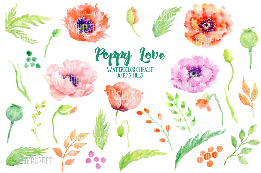 hand painted watercolor poppy, orange and red poppy, 