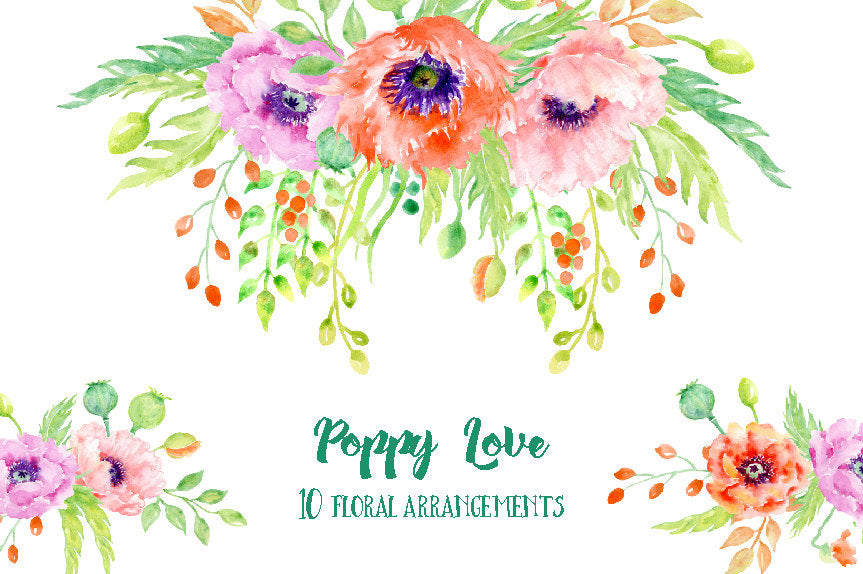 Watercolor poppy love floral arrangements, poppy compositions, poppy illustration 