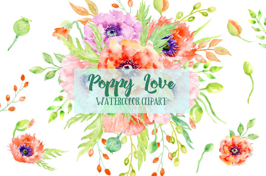 watercolour clipart poppy love, pink poppy, peach poppy and red poppy, poppy bouquet 