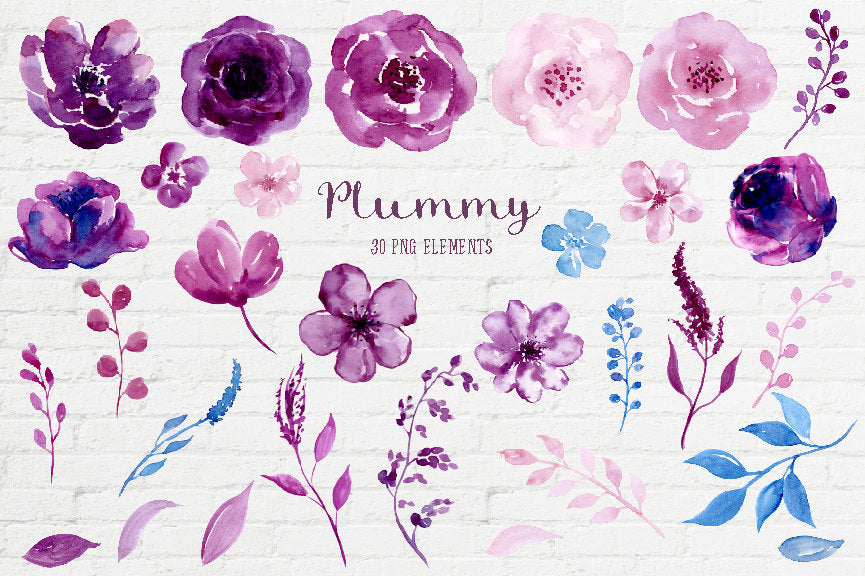 plum flower illustration, watercolour clipart plummy, floral posy 