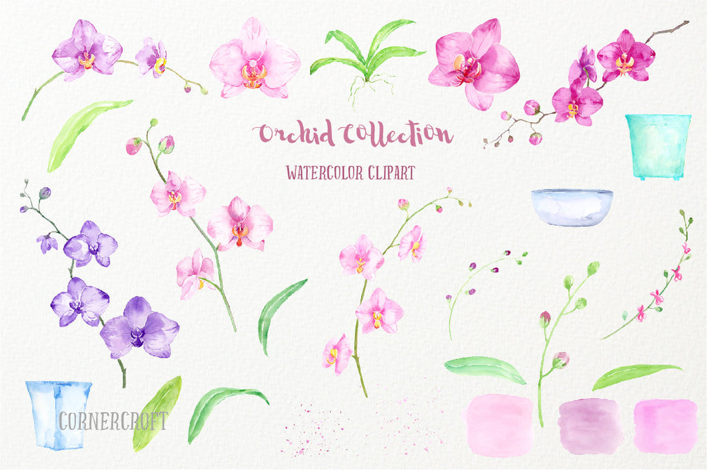 Hand painted watercolor clipart Orchid Collection, pink orchid, purple orchid, moss orchid, pot plant art print