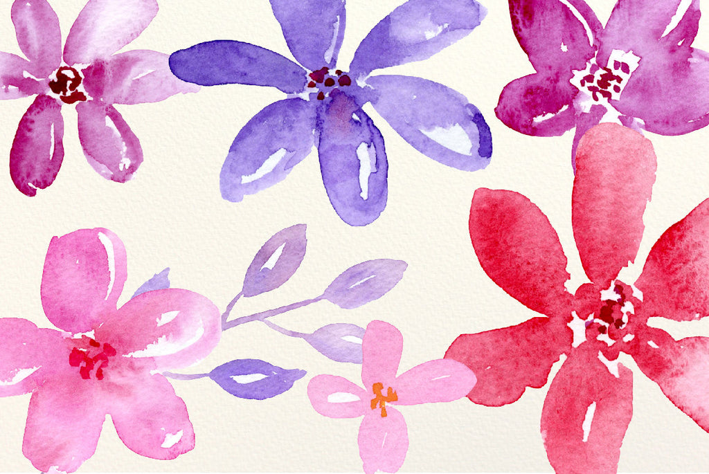 watercolor daisy illustration, pink daisy, purple daisy, red daisy, nursery flower 