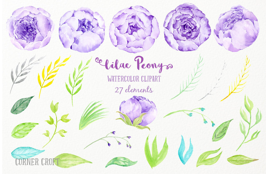 watercolor clipart lilac peony, peones, peony illustration, instant download 