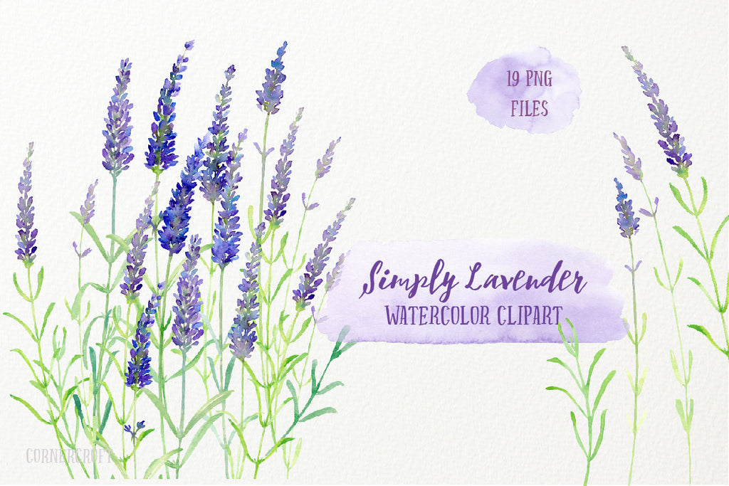 watercolor clipart simply lavender, sprig of lavender, slander stem of lavenders in blue and purple color 