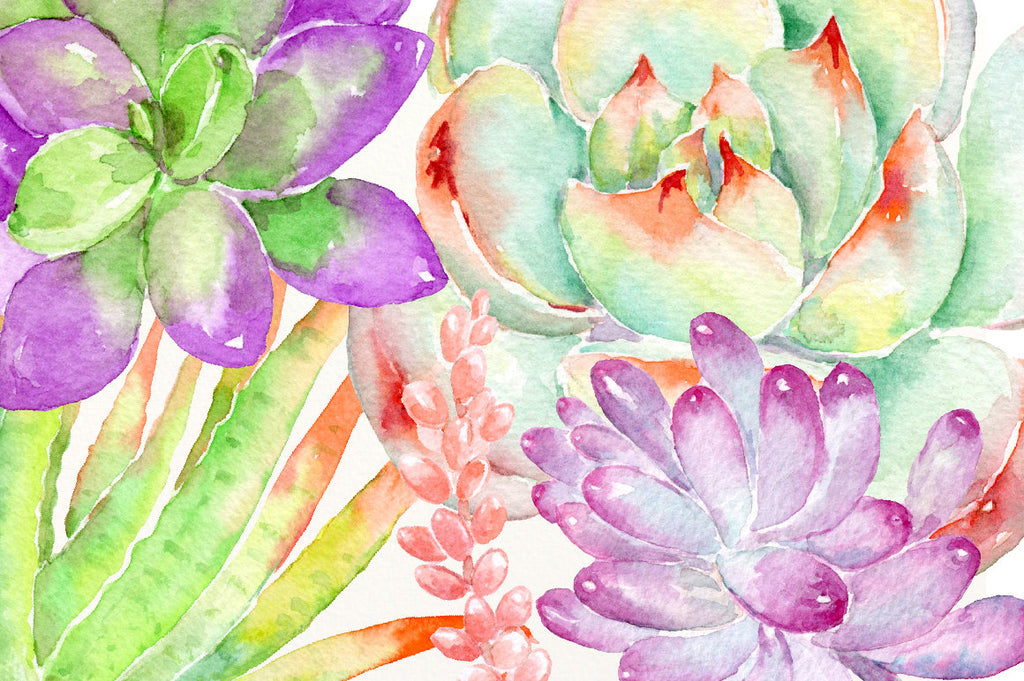 watercolor clipart succulent plant in pink and purple theme