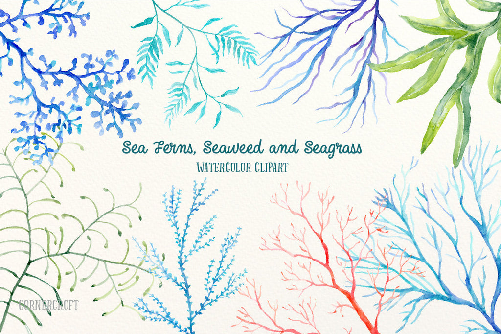 Watercolor clipart sea ferns, seaweed and sea grass for instant download