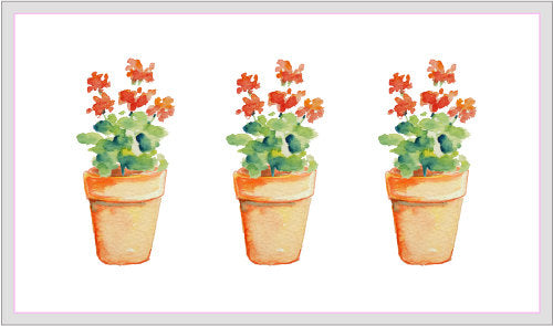 watercolor pot plants, garden plants, gardening graphics, corner croft watercolour illustration 
