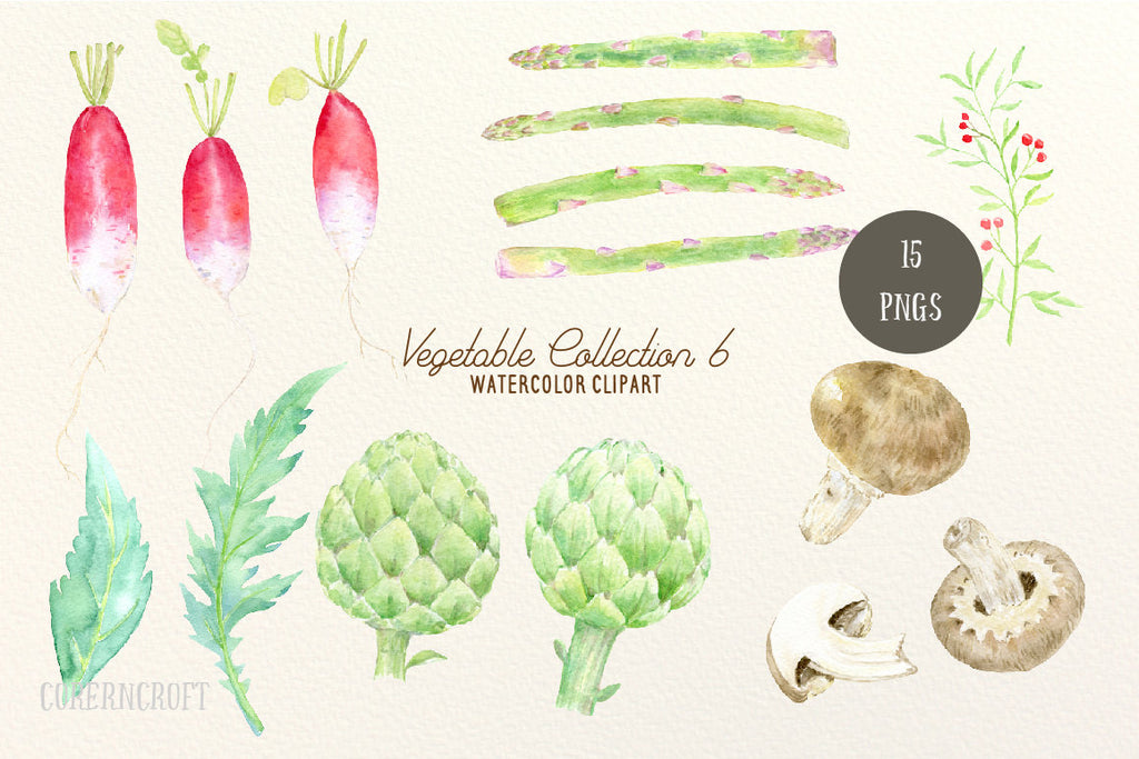 vegetable collection watercolor vegetables mushrooms, asparagus, red radish and globe artichokes 