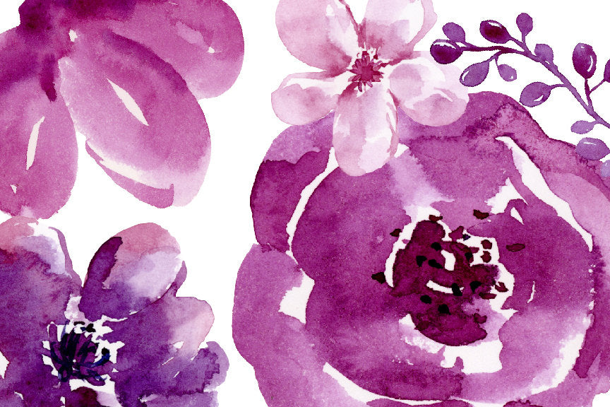 watercolour clipart plummy, watercolor plum flowers, purple flowers