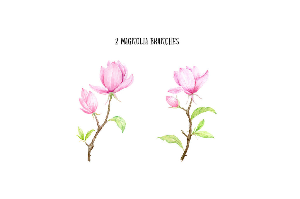 hand painted watercolor pink magnolias, botanical flowers, magnolia branches and decorative leaves for instant download.