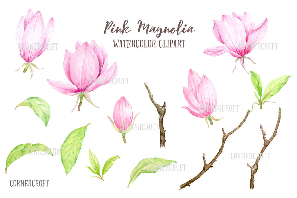 hand painted watercolor pink magnolias, botanical flowers, magnolia branches and decorative leaves for instant download.