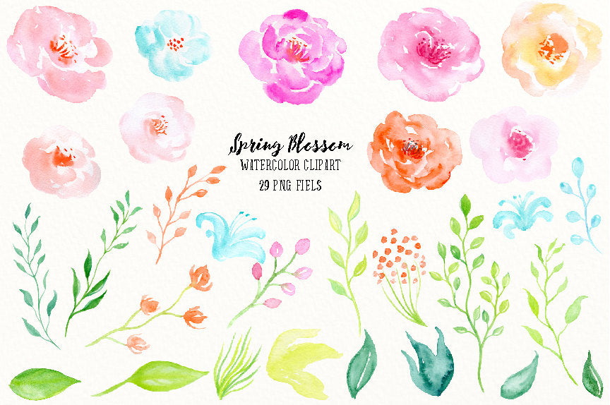 watercolor spring blossoms, spring flowers, pink flower, floral illustration 
