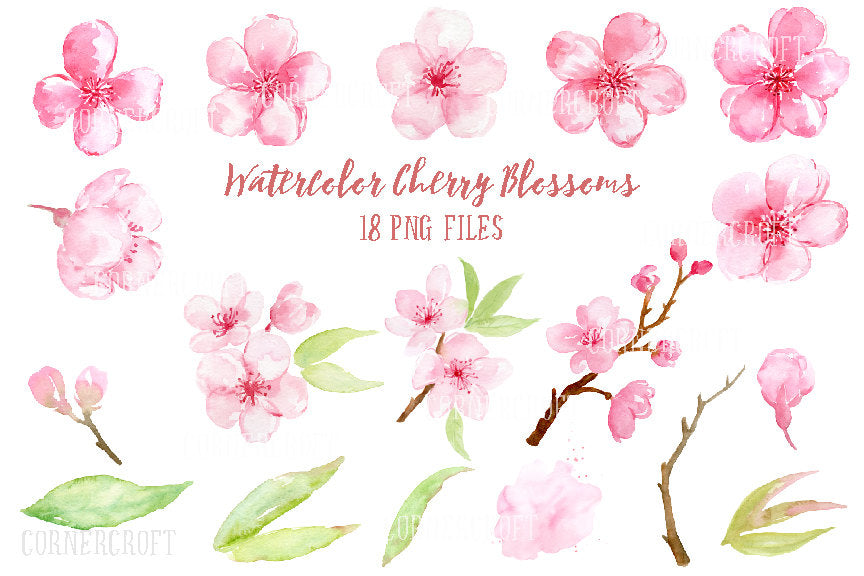 Watercolor Clipart cherry blossoms, pink flowers, spring flowers, digital download