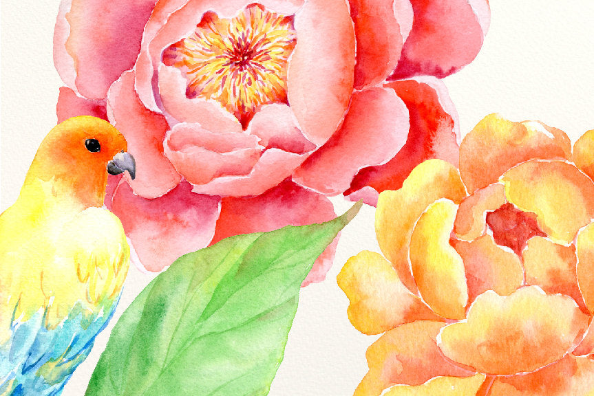 watercolor collection passion, watercolour peony, yellow peony, peony clipart, instant download 