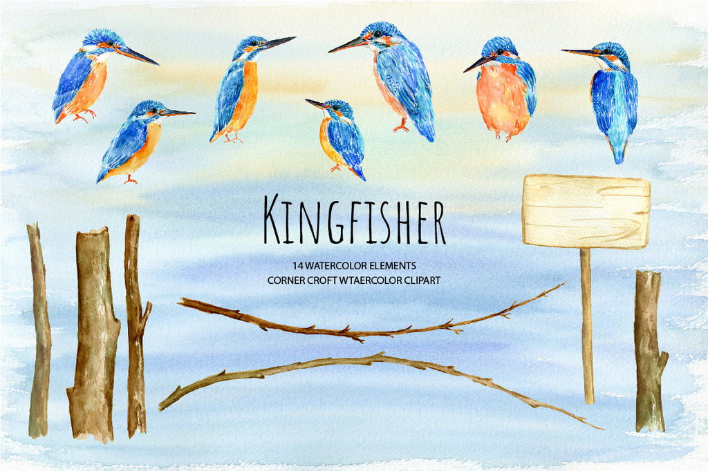 watercolor kingfisher clipart, detailed illustration of birds, kingfishers print