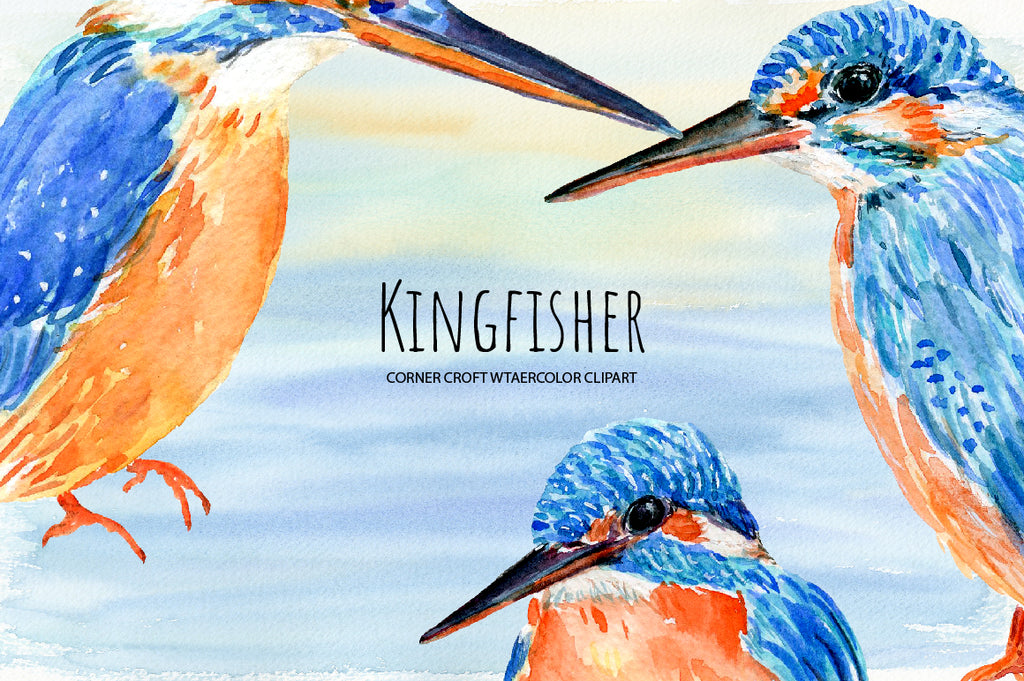 watercolor kingfisher clipart, detailed illustration of birds, kingfishers print