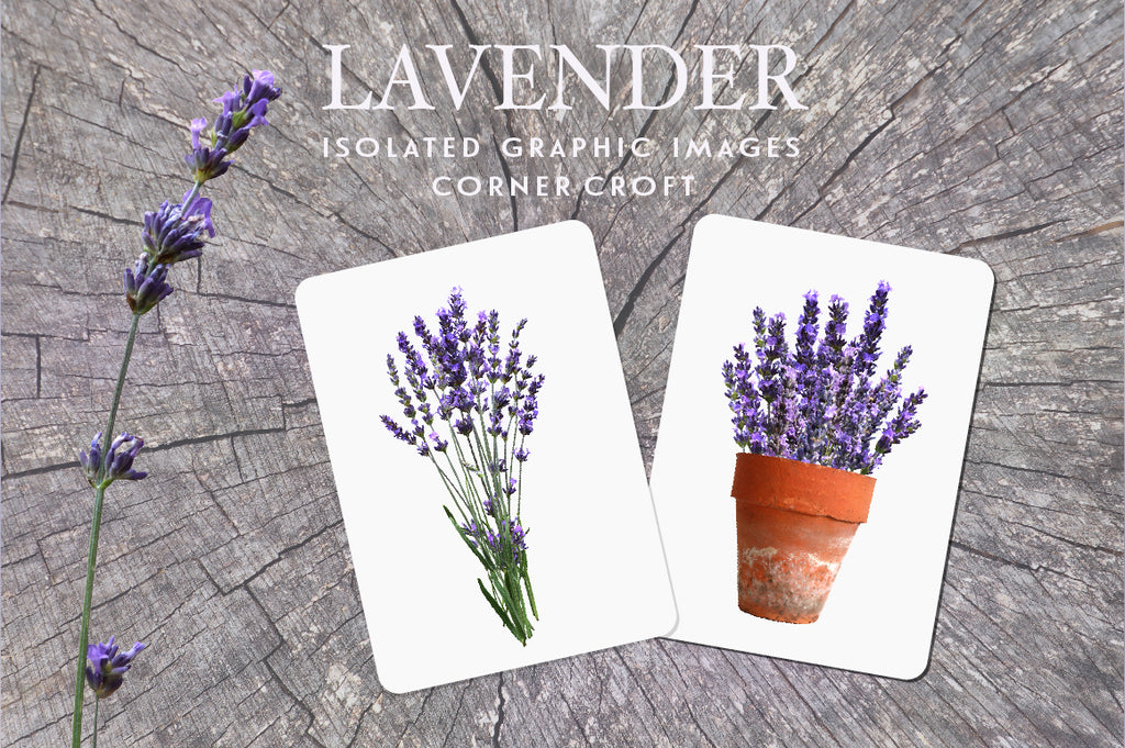 lavender clipart, for wedding invitation, fabric print, branding and labelling 