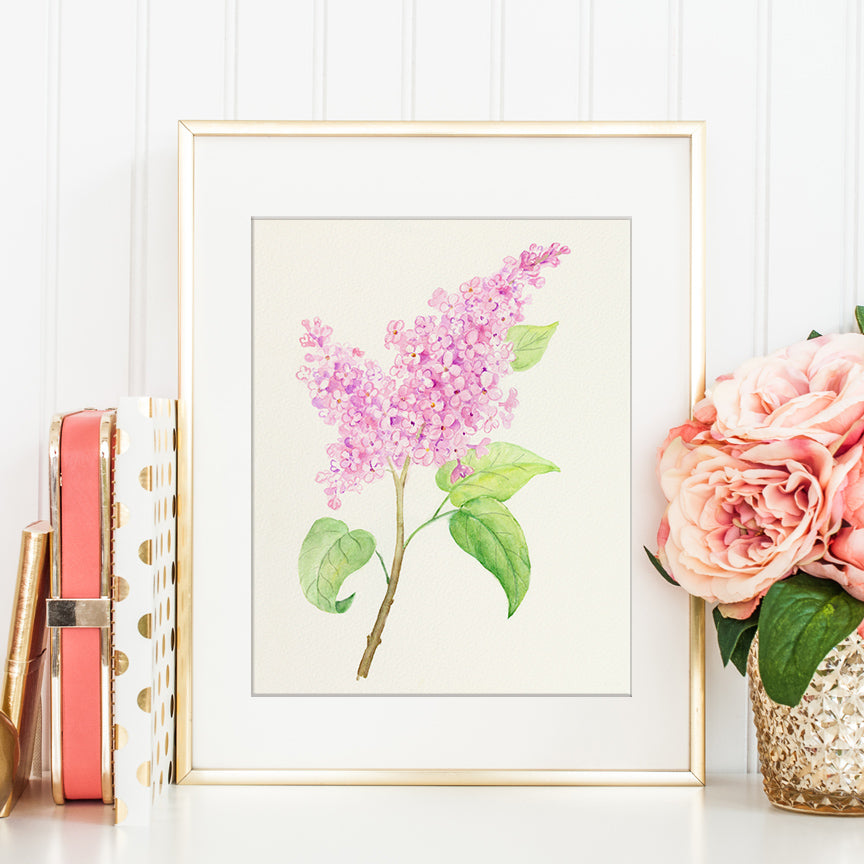 watercolor pink lilac illustration, botanical painting of lilac, corner croft print