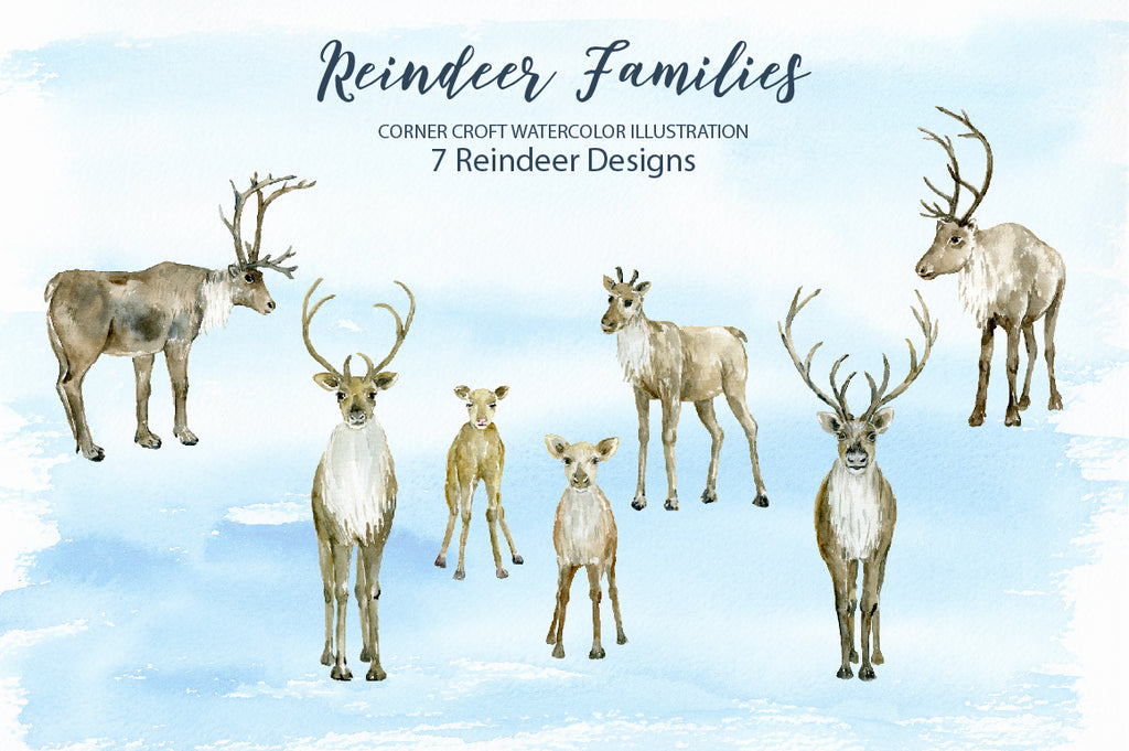 watercolor adult reindeer, calf, Christmas deer illustration