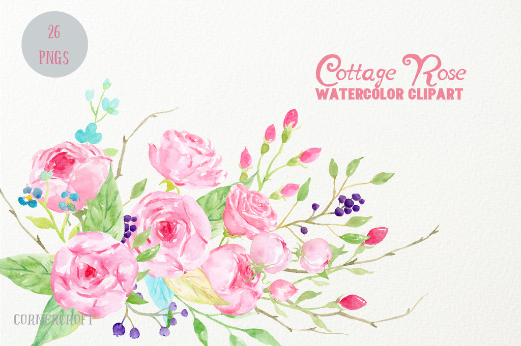 watercolor cottage rose collection, pink rose illustration 
