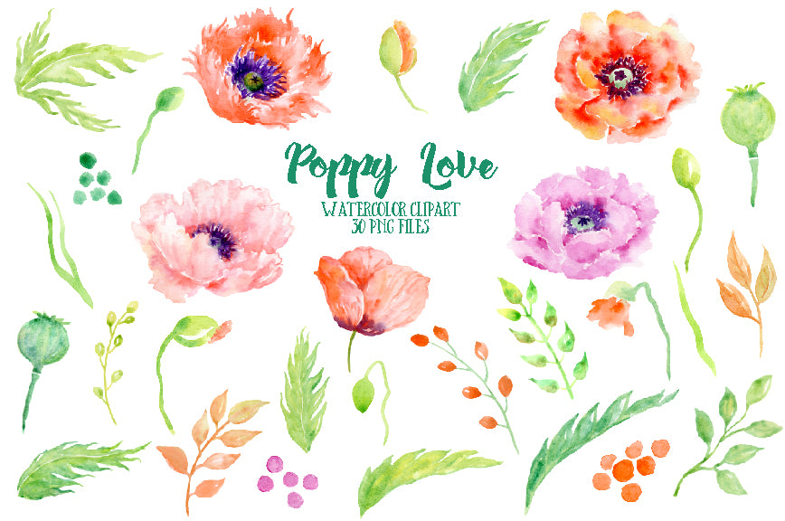 watercolour clipart Poppy Love, pink, red and orange poppy illustration, corner croft illustration 