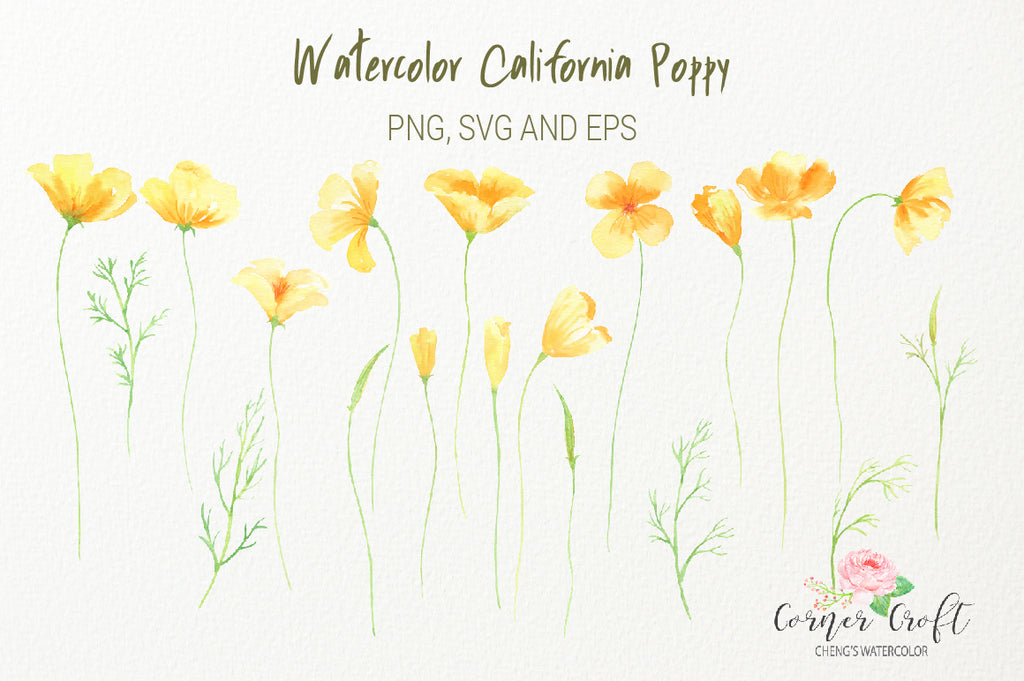 watercolor california poppy, yellow flowers, silhouette poppy, vector , eps, svg