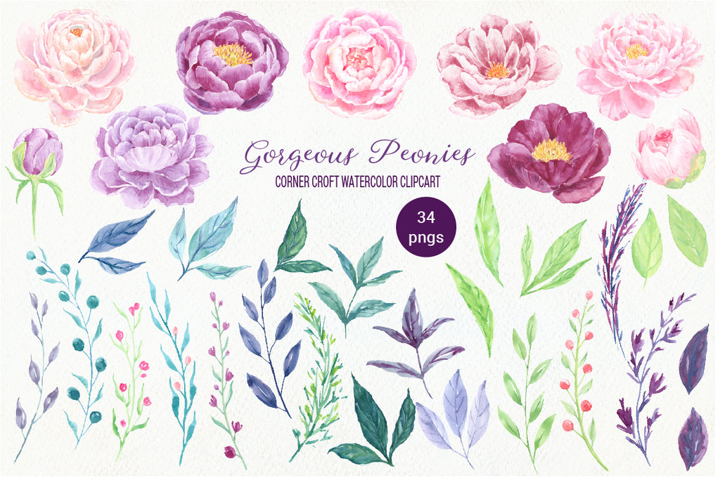 watercolor clipart, gorgeous peonies, peony, hand painted, pink, purple, red, plummy, instant download