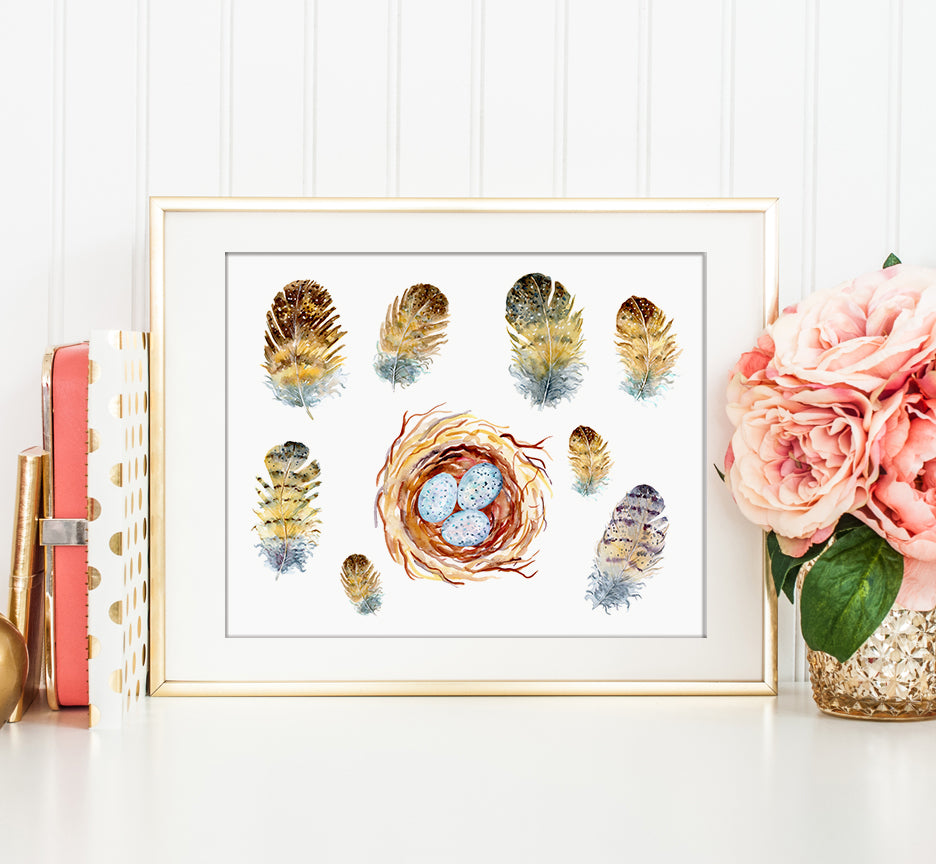 Owl feathers, eggs and nest print, watercolor detailed illustration, digital download