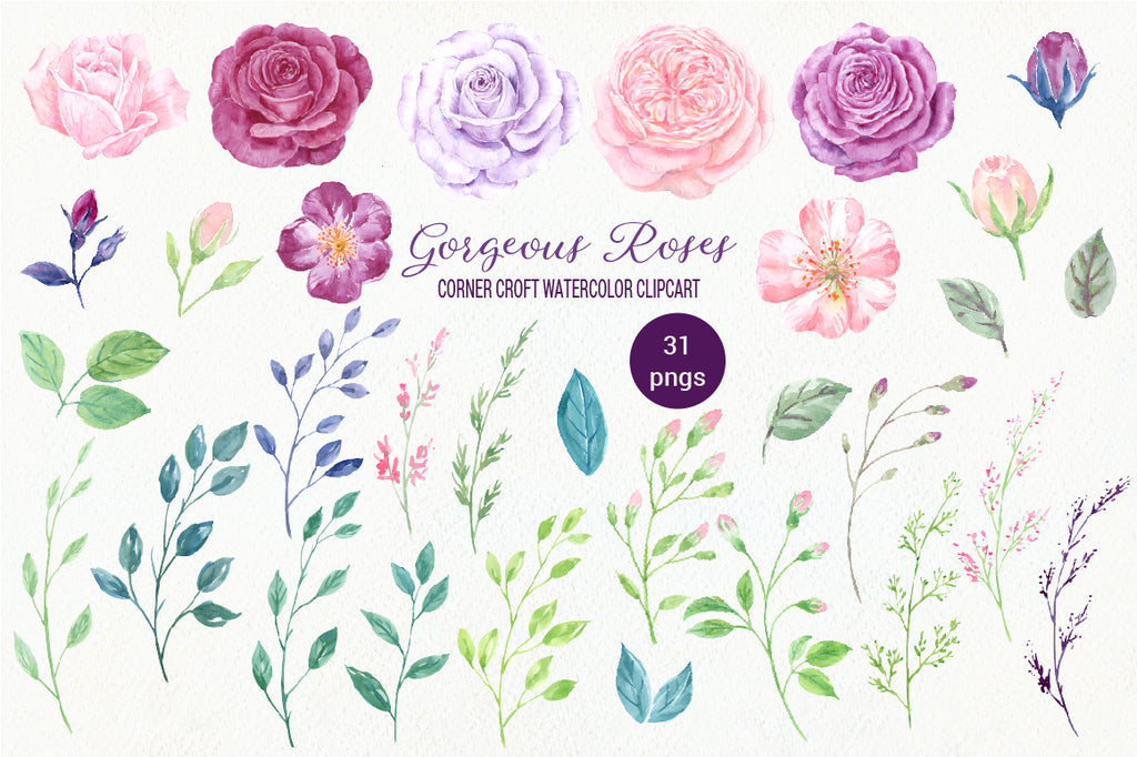 watercolor rose clipart, rose illustration, pink rose, purple rose, peach rose