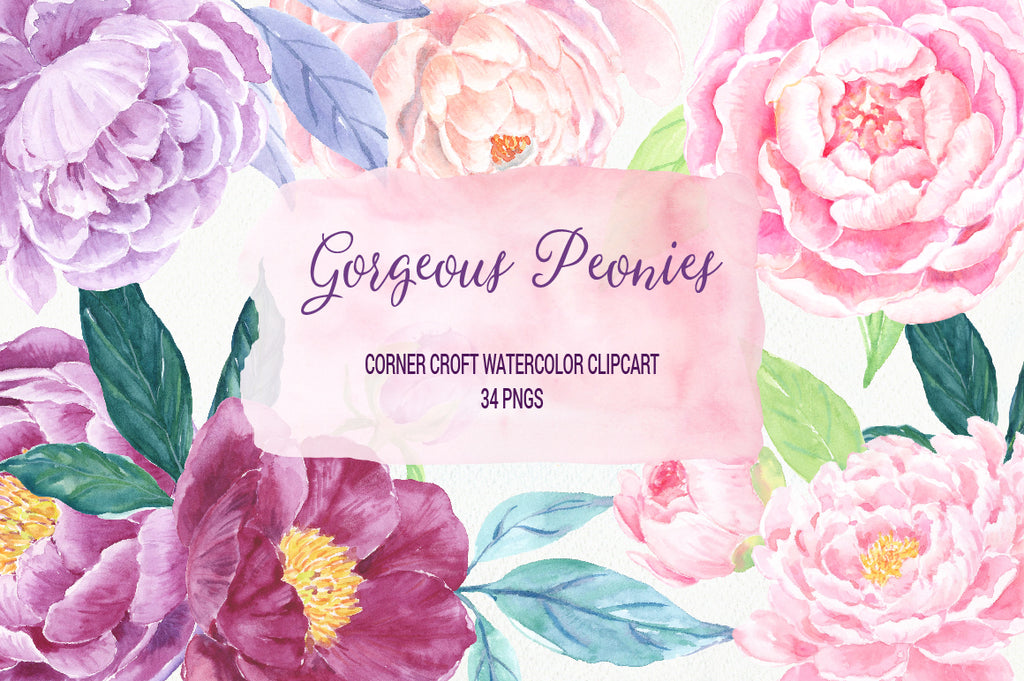 watercolor clipart, gorgeous peonies, peony, hand painted, pink, purple, red, plummy, instant download 
