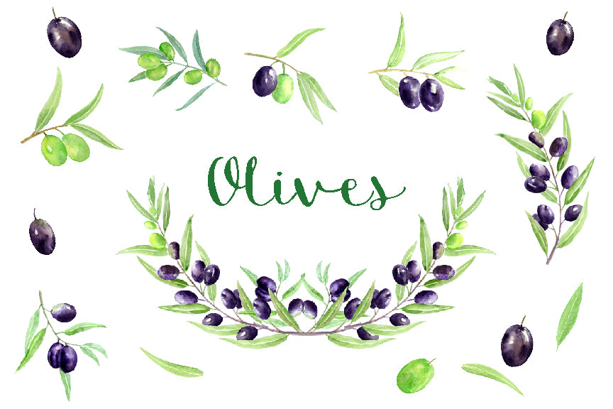 olive clipart, watercolor olives, olive illustration, detailed watercolor olive.