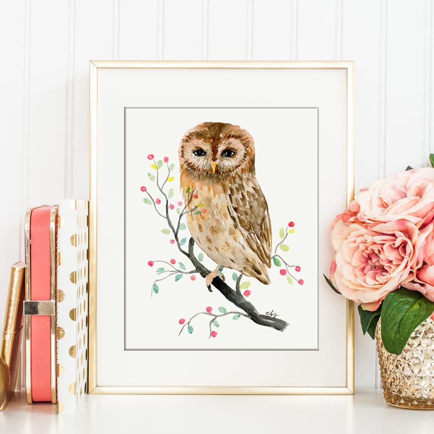 watercolor illustration little brawn owl, bird illustration, watercolor painting, nature