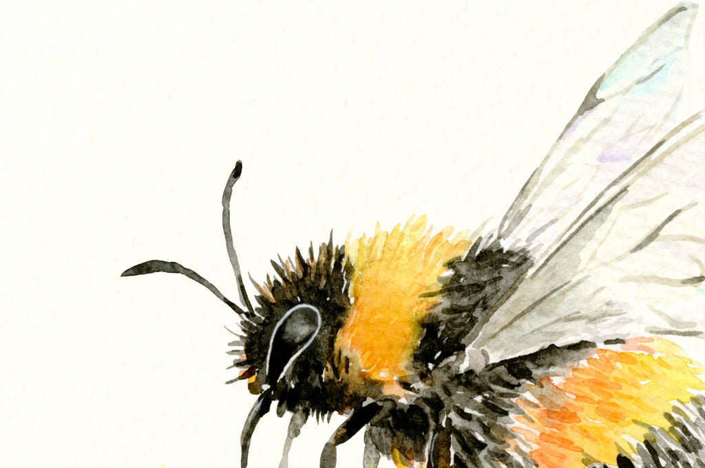 watercolor art print busy bee, flying bee. 