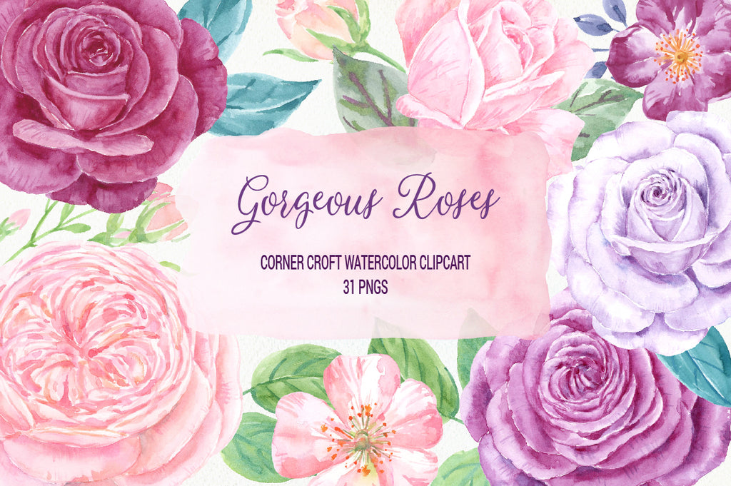 watercolour rose clipart, pink rose, purple rose, plummy rose