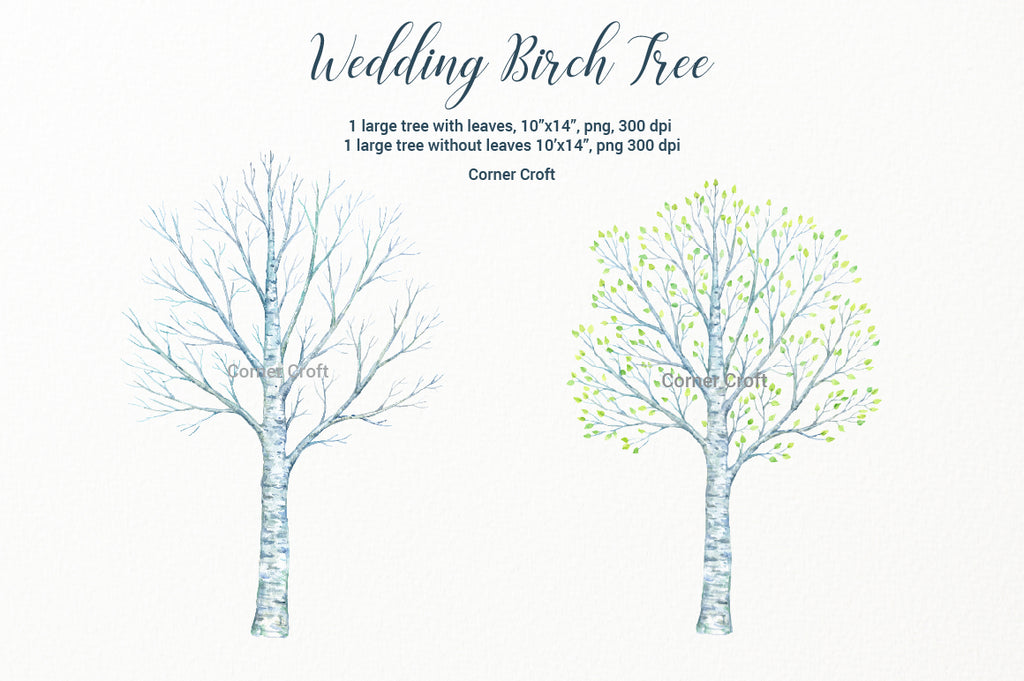 watercolor large birch tree, bare birch tree, digital download, birch clipart