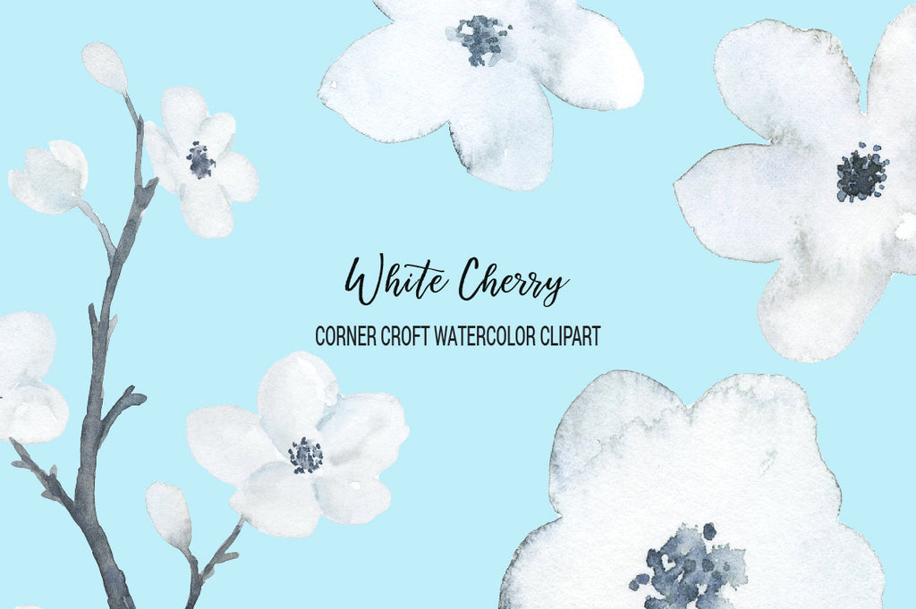 corner croft watercolour clip art, white cherry blossom, white cherry blossoms.