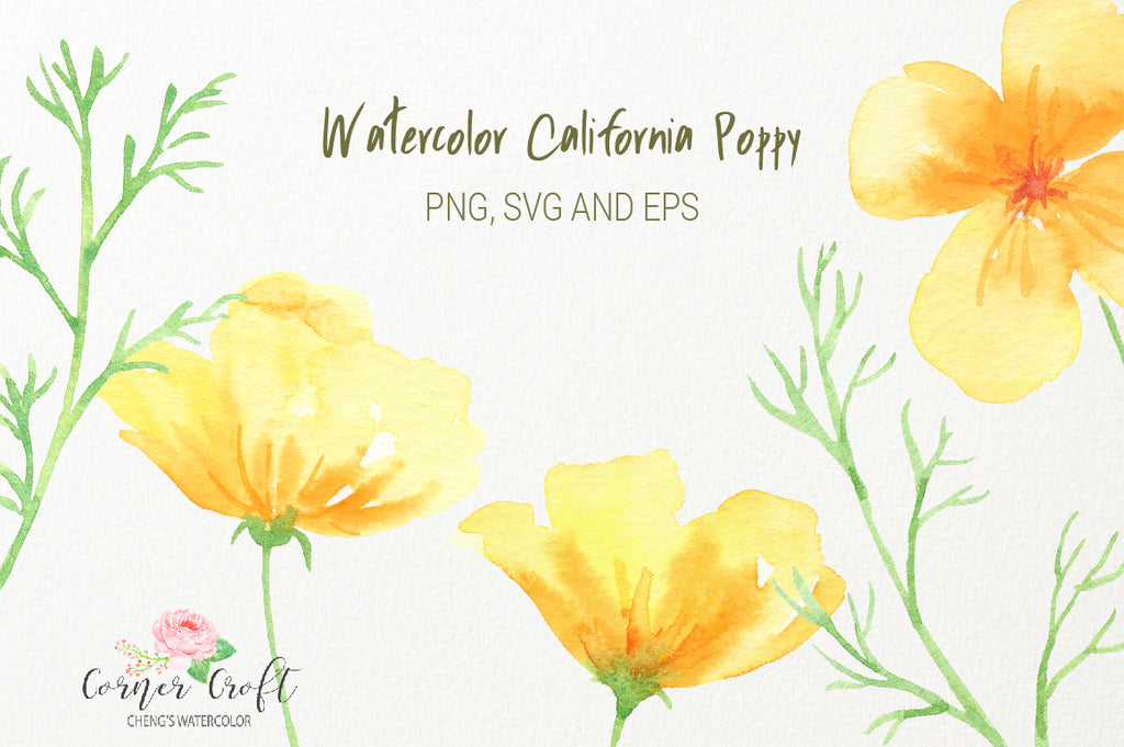 watercolor yellow flowers, California poppy 