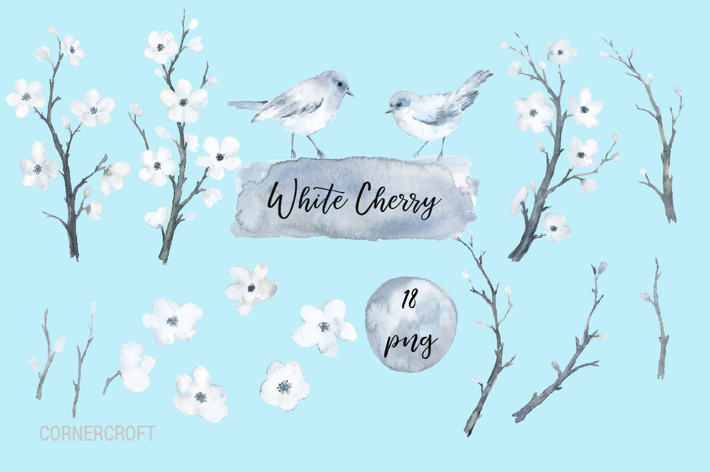 watercolor cherry blossoms, cherry flower, clipart, floral clipart, spring flower.
