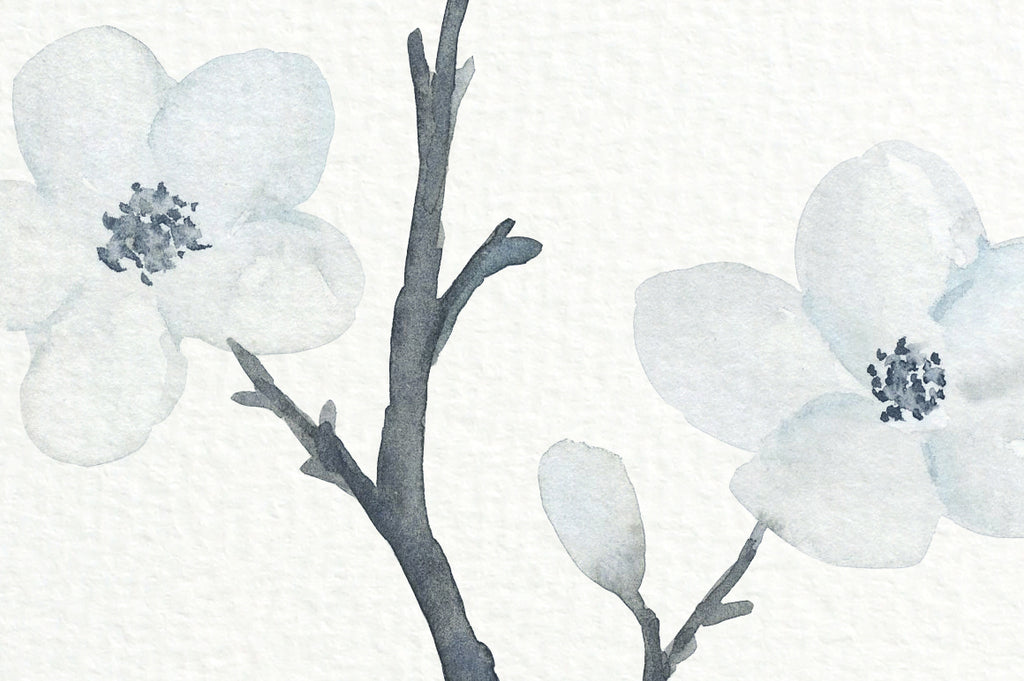 white cherry flowers, watercolor cherry flower, white cherry blossoms, teen room decor, art print, digital download 