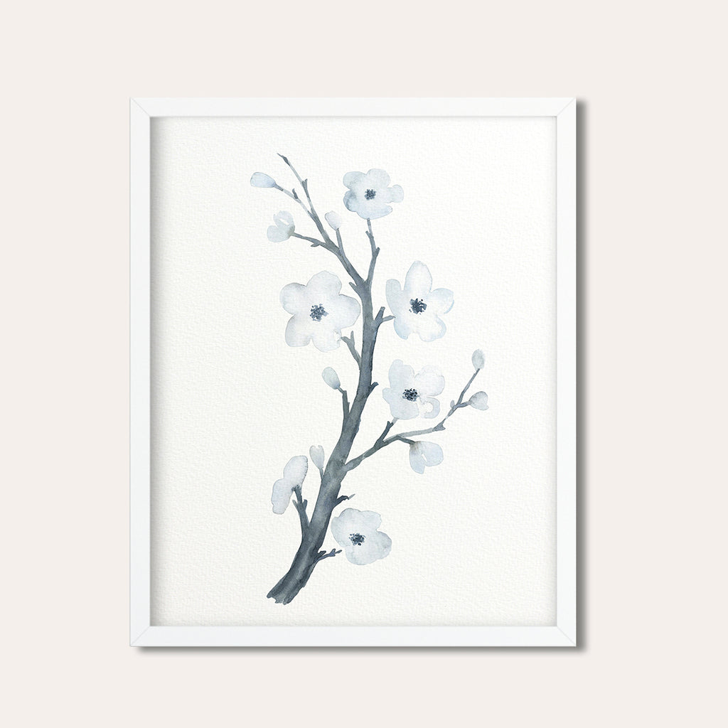 Watercolor illustration white cherry flower, cherry blossoms, spring flowers, printable 